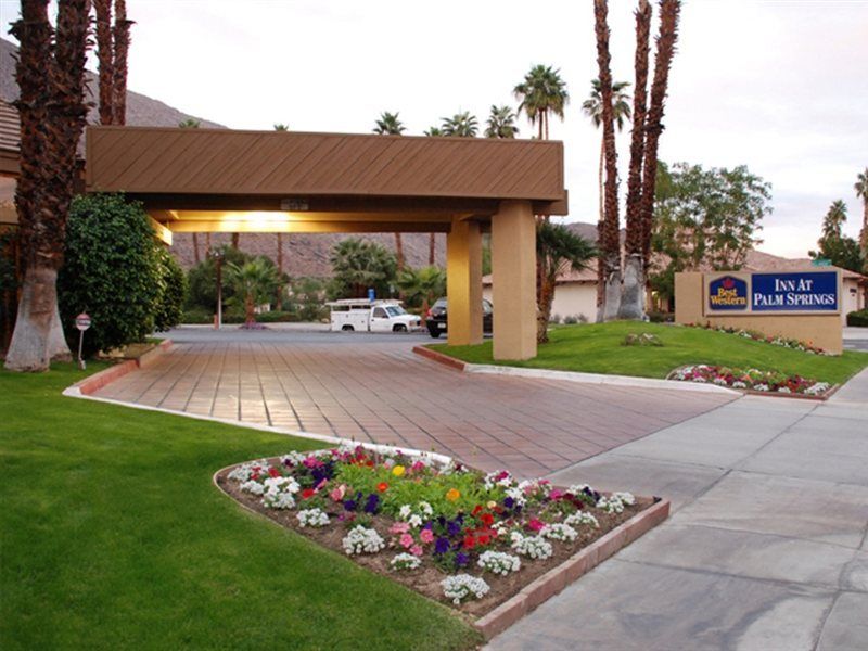 Best Western Inn At Palm Springs Buitenkant foto